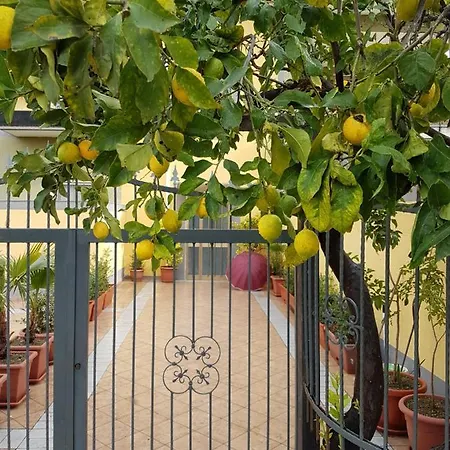 Casa Giovanni Con Idromassaggio Lägenhet